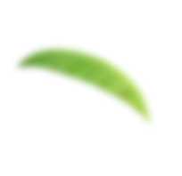 Green Leaf